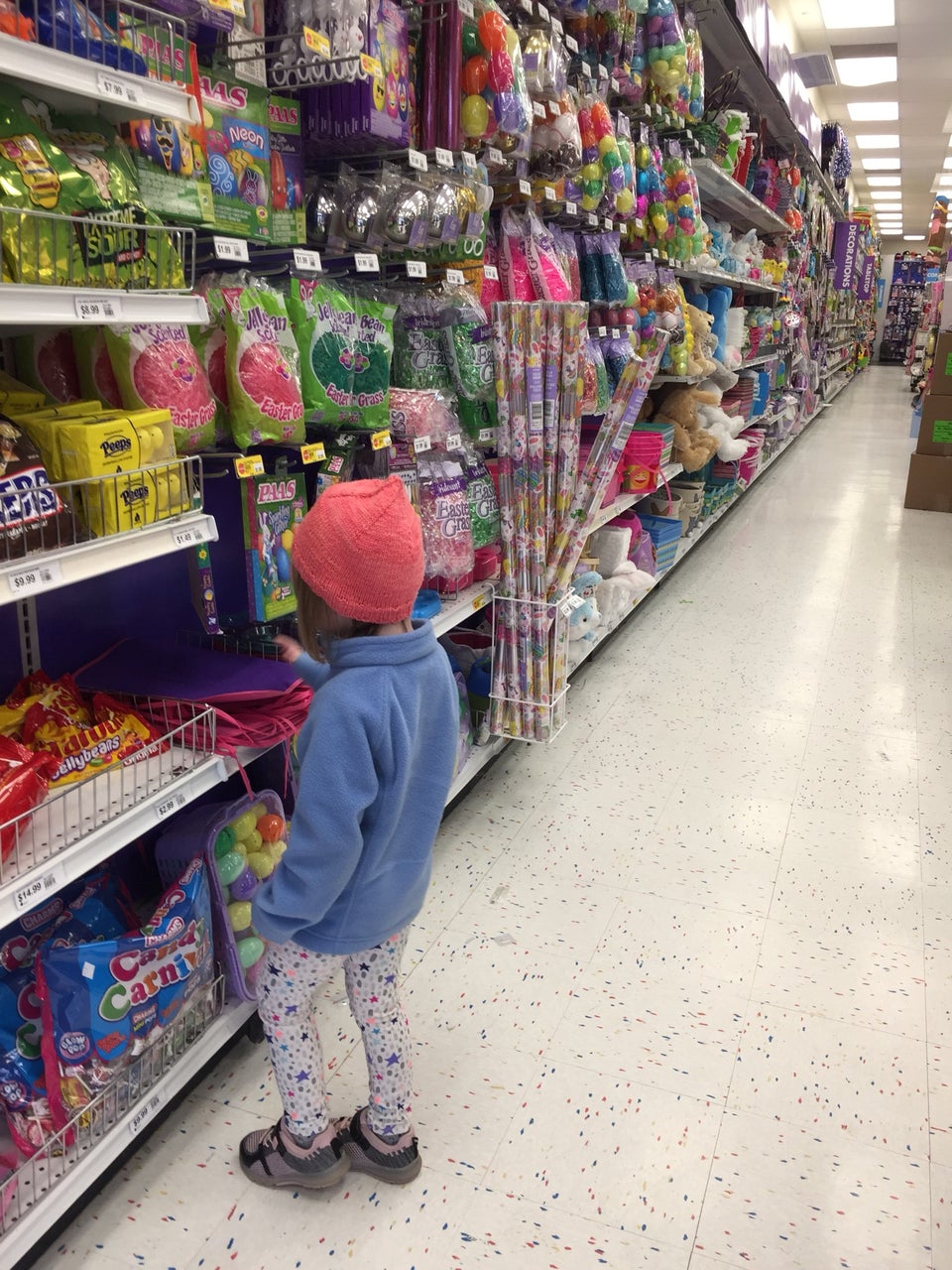 Party City 8057 Challis Rd, Brighton
