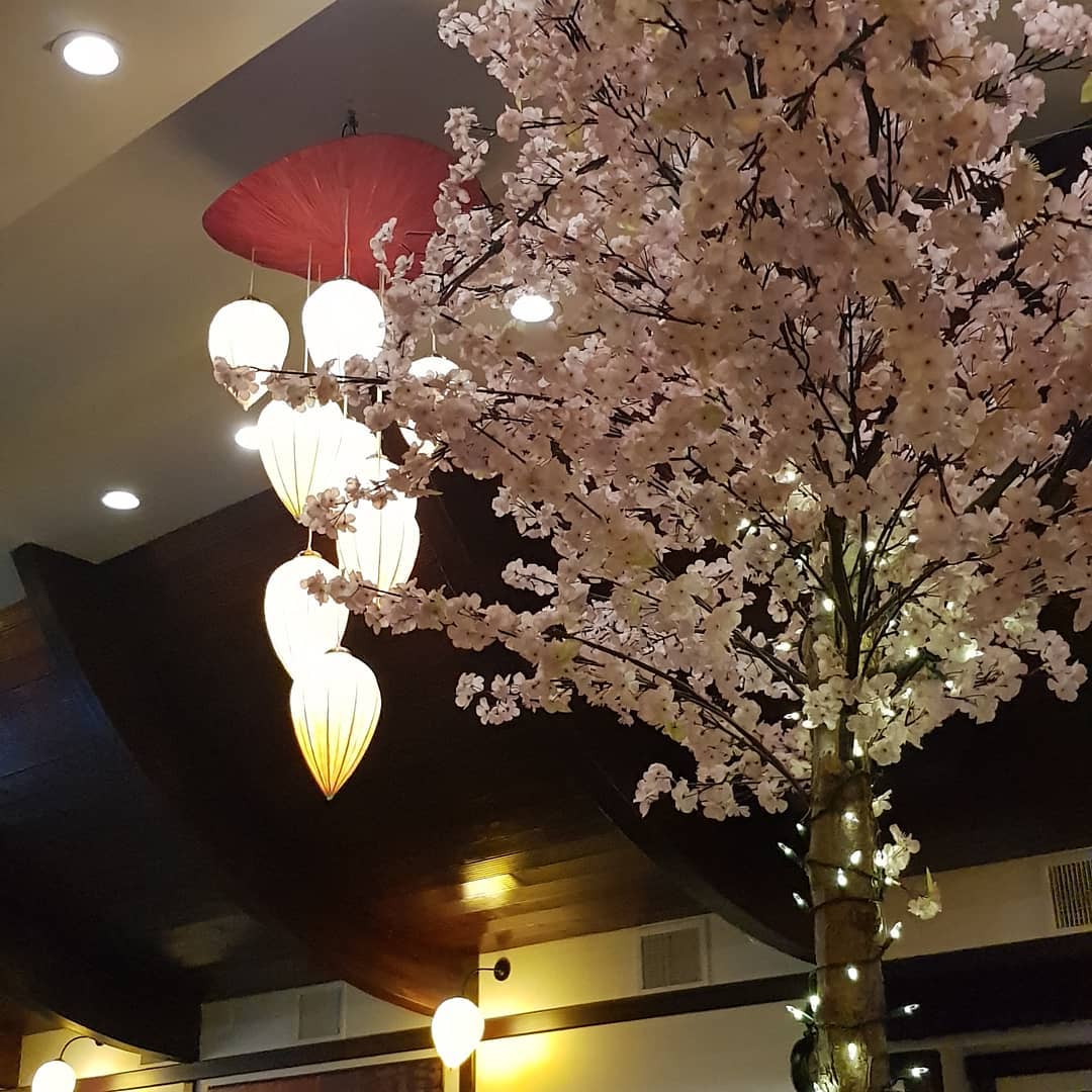Osaka Japanese Steakhouse 1119 W Maple Rd, Clawson