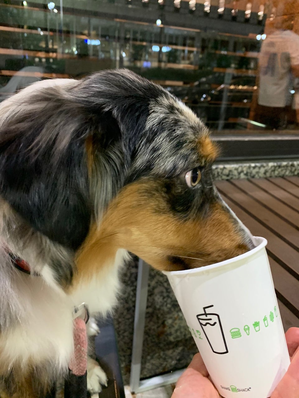Shake Shack 660 Woodward Ave, Detroit