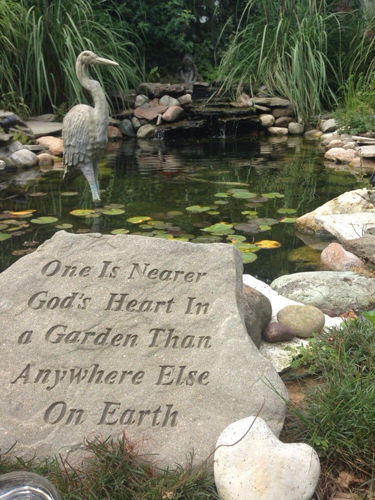 Photo credit: 