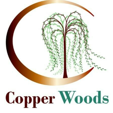 Copper Woods Salon 30322 23rd Ave, Gobles Michigan 49055