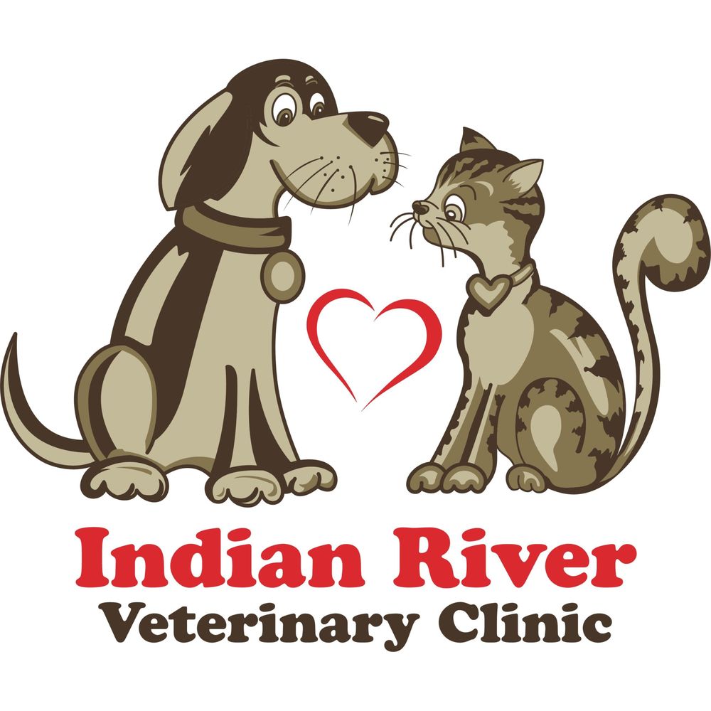 Indian River Veterinary Clinic 5668 S Straits Hwy, Indian River Michigan 49749