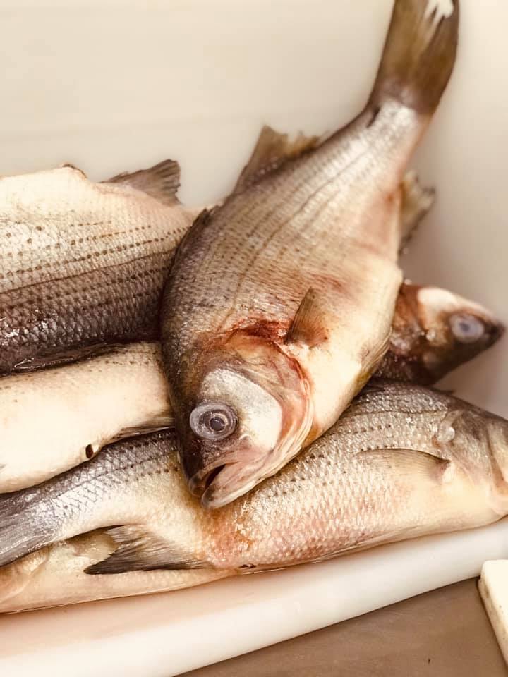 Lansing Fish Market 815 Edgewood Blvd STE D, Lansing