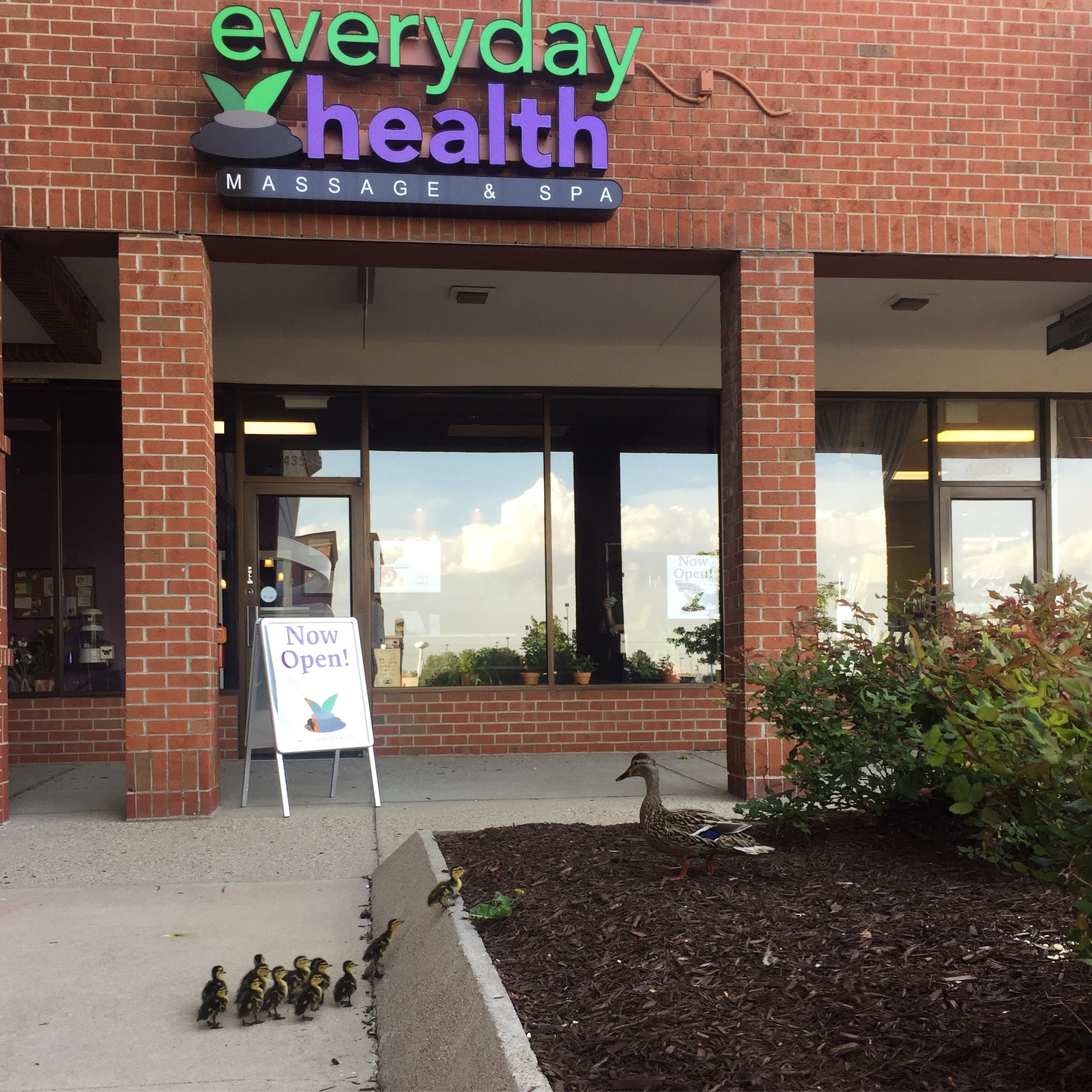 Everyday Health Massage and Spa