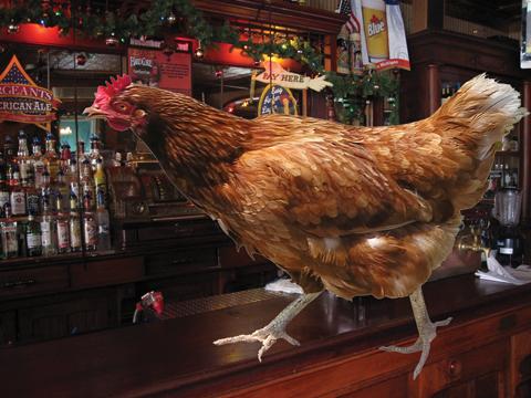 Photo credit: yellowpages