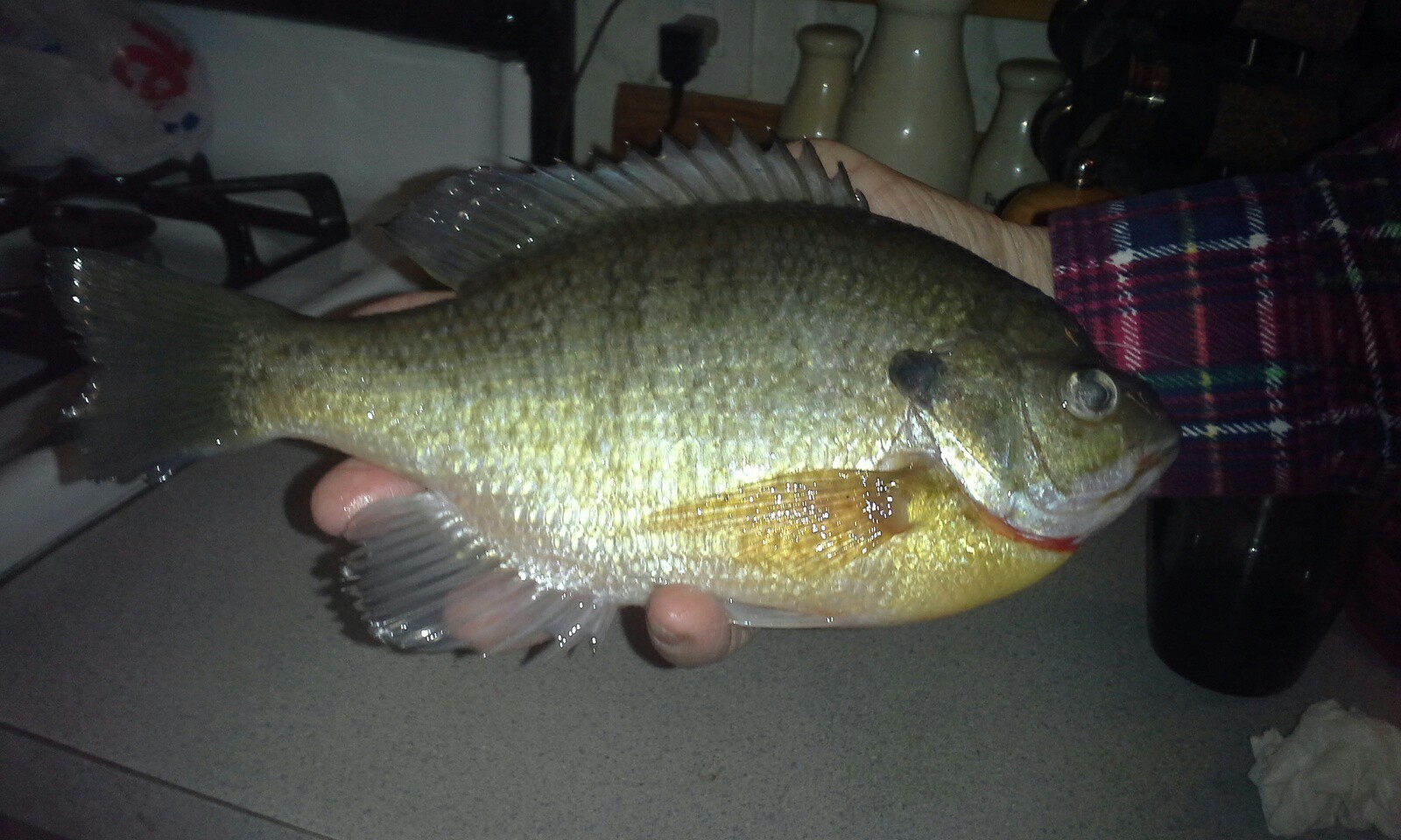 Photo credit: yellowpages