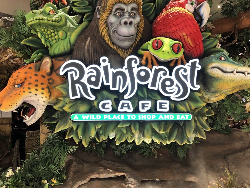 Rainforest Cafe 306 South Avenue, Bloomington