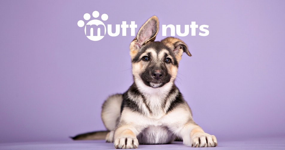 Mutt Nuts