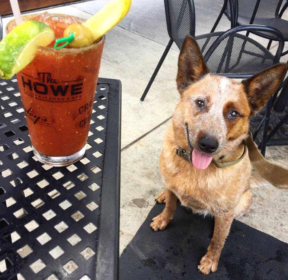 The Howe Daily Kitchen & Bar 3675 Minnehaha Ave South, Minneapolis