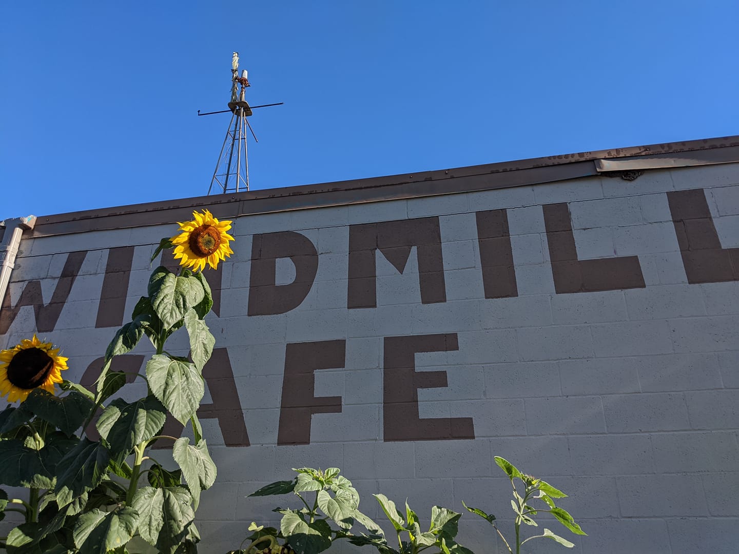 Windmill Cafe 5367 State Hwy 13, Savage