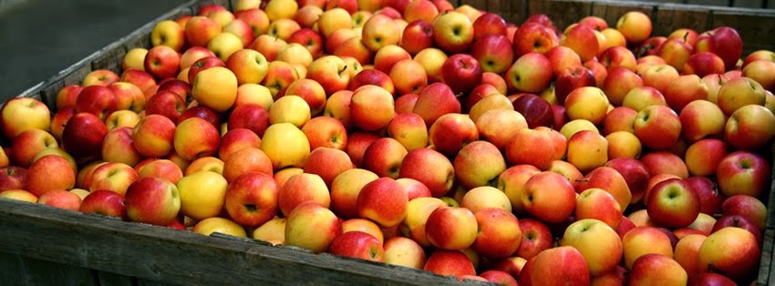 Aamodt's Apple Farm
