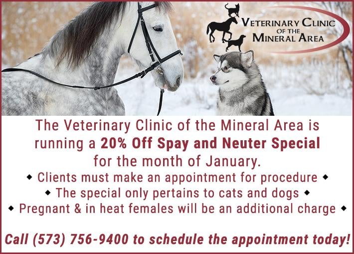 Veterinary Clinic-Mineral Area: Swinford John DVM
