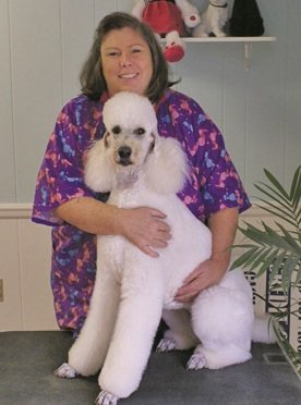 Dog Pet Grooming Jefferson City