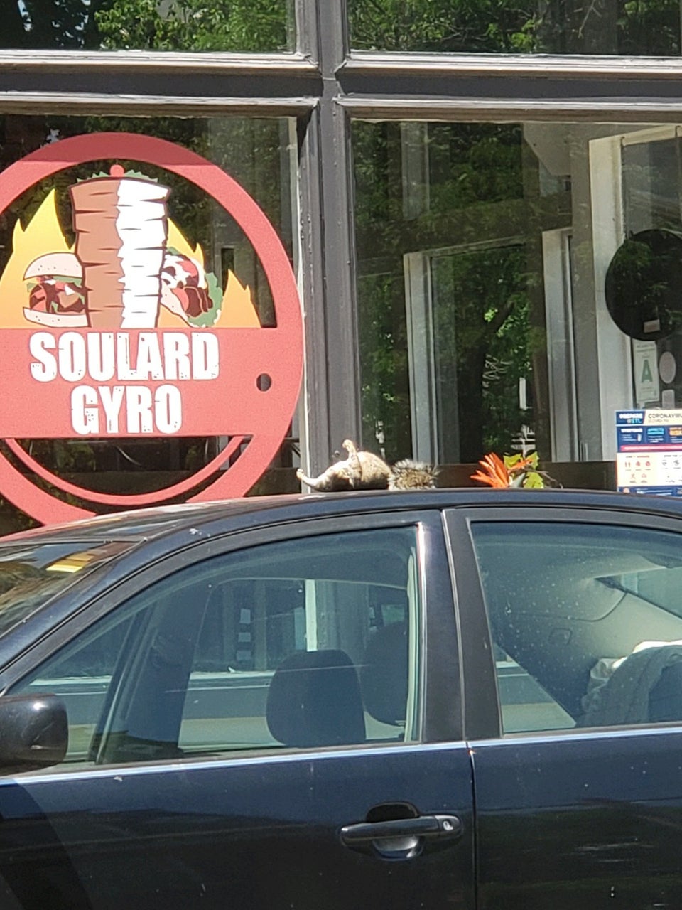 Soulard Gyro 900 Shenandoah Ave, St. Louis