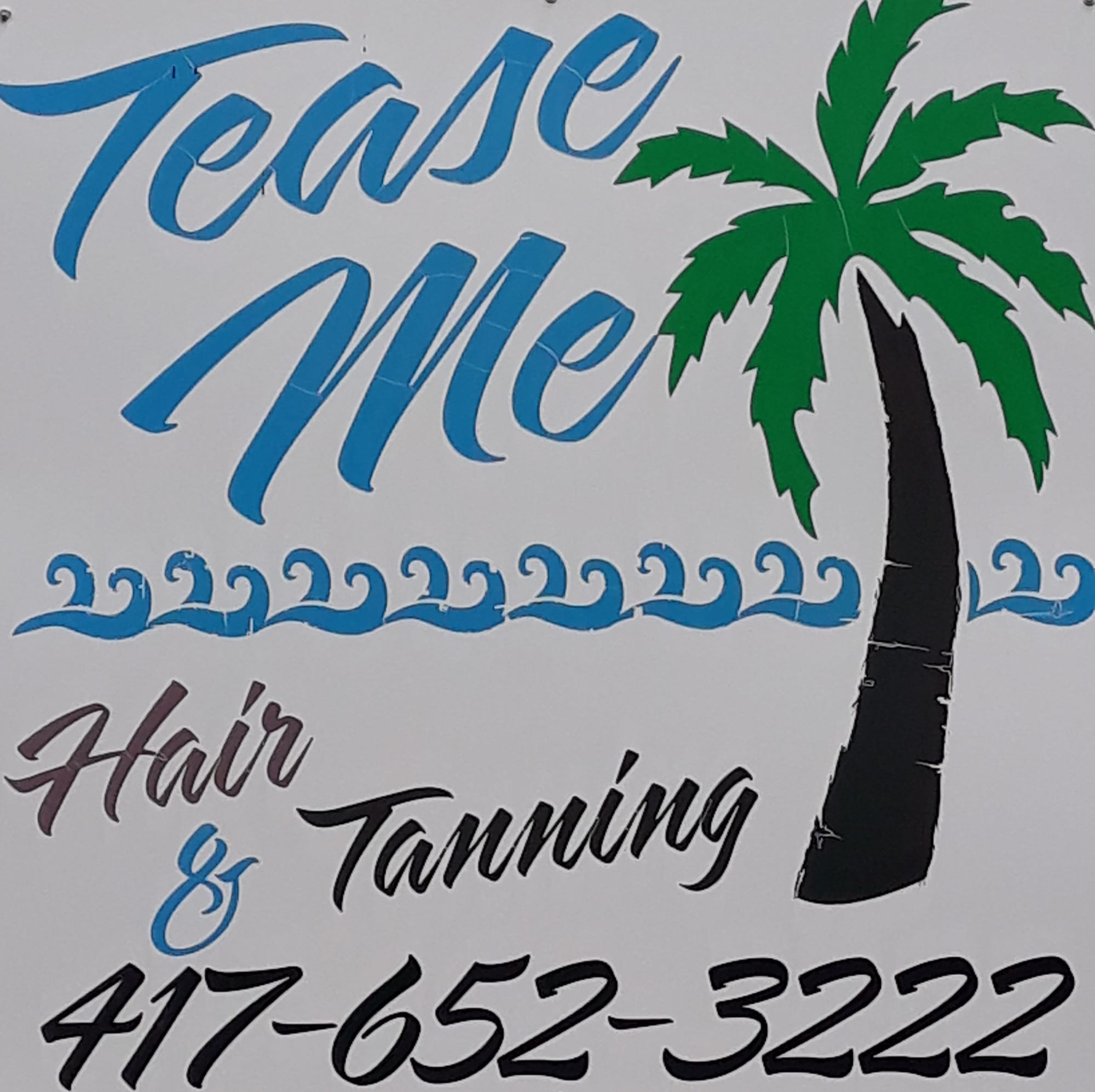 Tease Me Hair & Tanning Sal 310 S Gilman Ave, Wheaton Missouri 64874