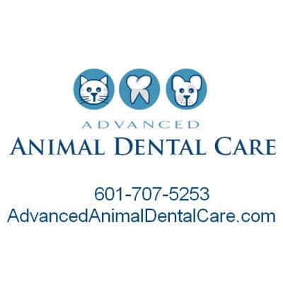 Advanced Animal Dental Care: Johnson, Lynn DVM