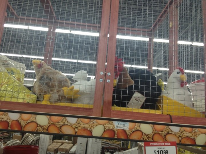 Tractor Supply 2110 Hwy 19 N, Meridian