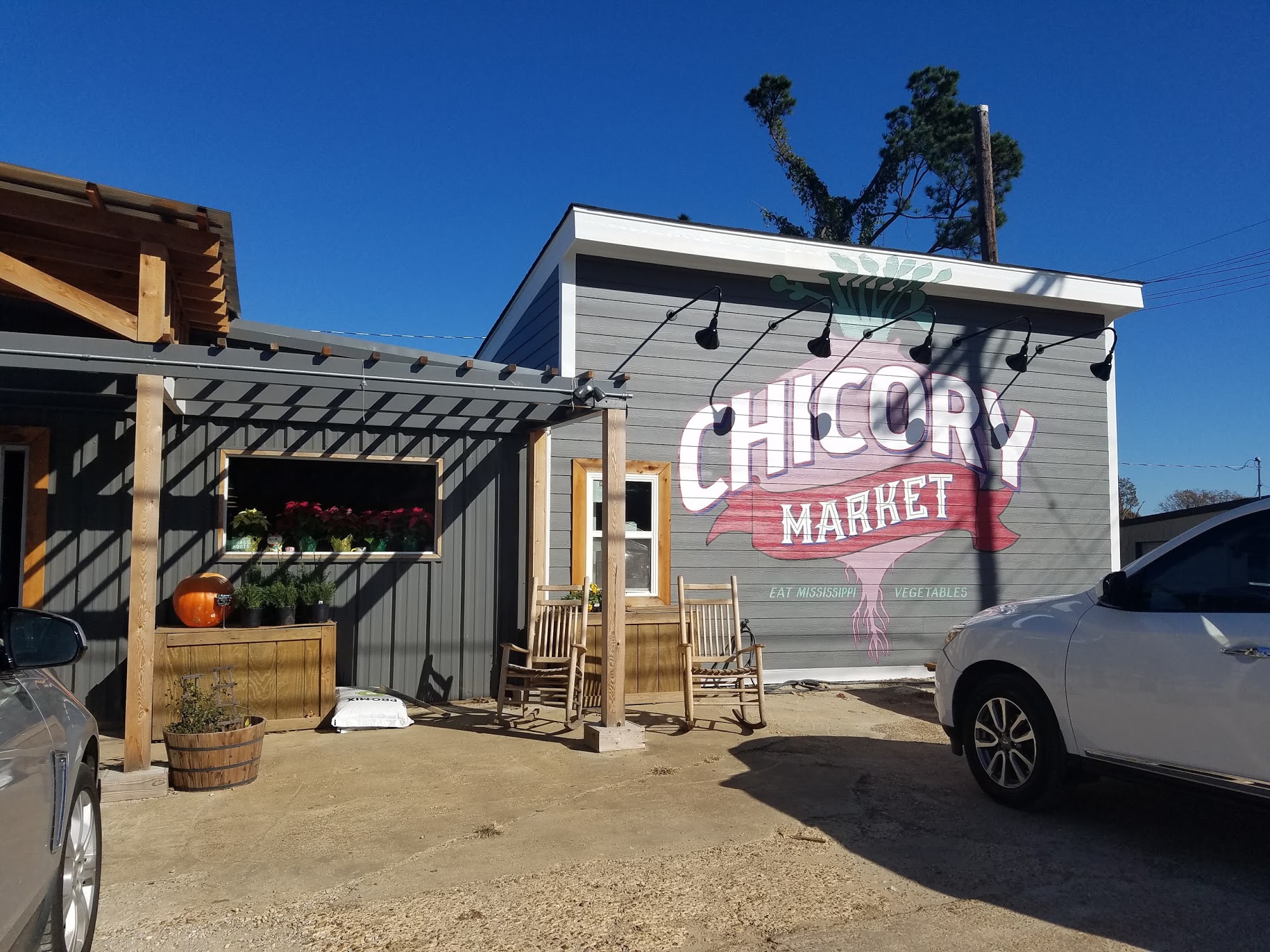 Chicory Market