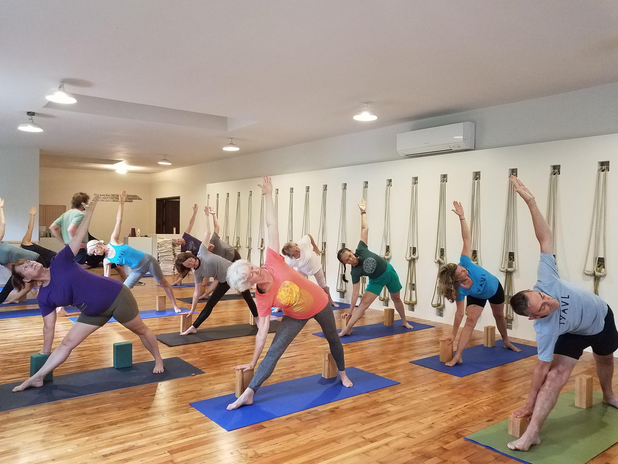 Iyengar Yoga Asheville