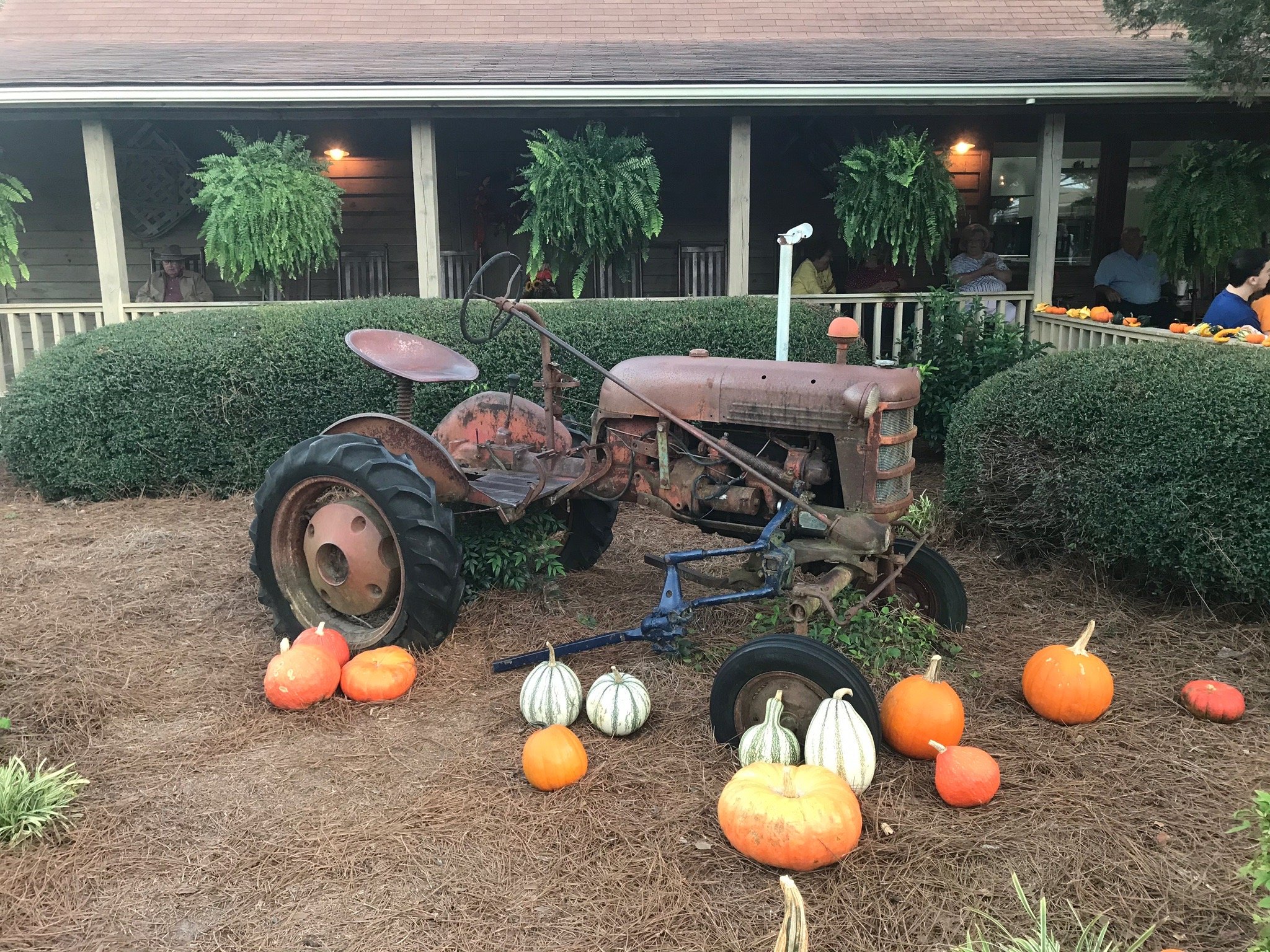 Photo credit: tripadvisor