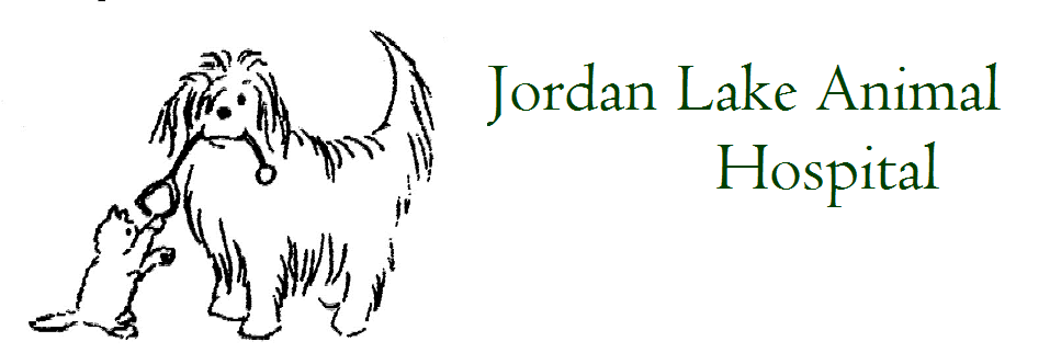 Jordan Lake Animal Hospital 50B Chatham Corners Dr, Pittsboro North Carolina 27312