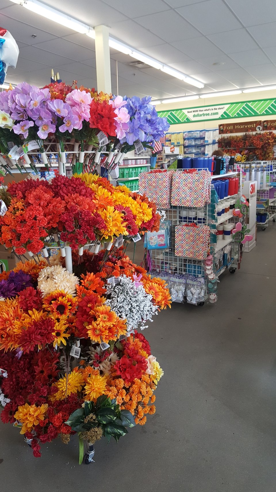 Dollar Tree Raleigh