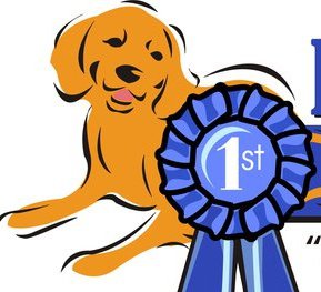 Blue Ribbon Dog Services Wilmington