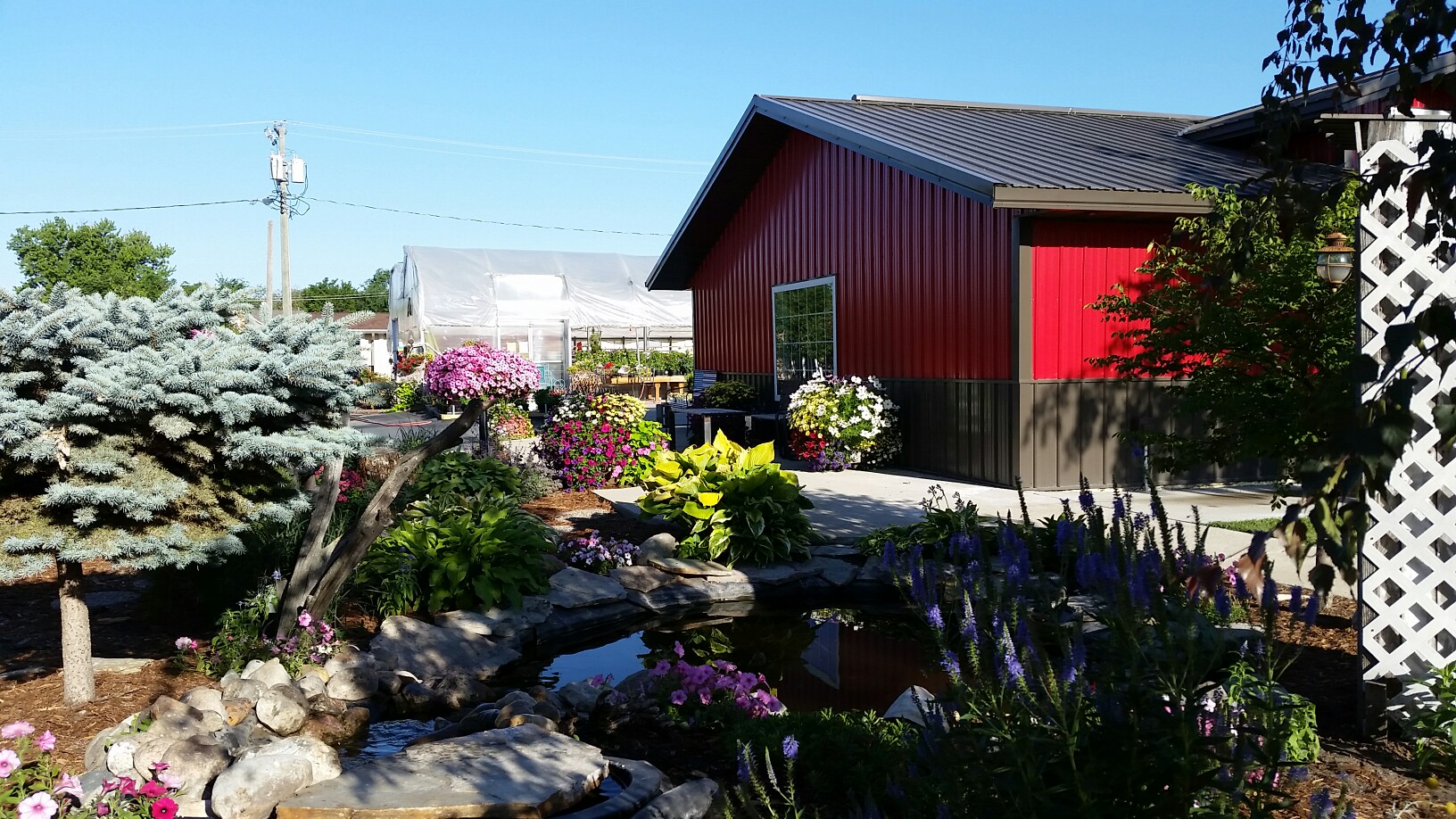 Photo credit: yellowpages