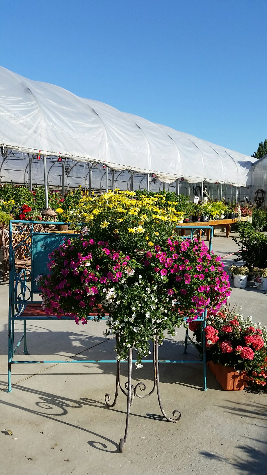 Photo credit: yellowpages