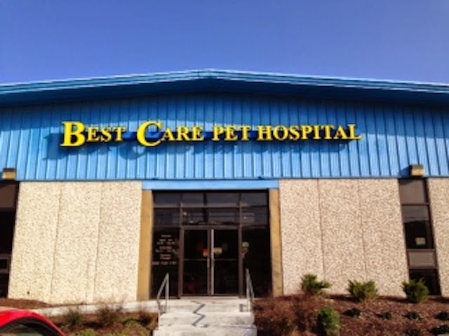 Best Care Pet Hospital