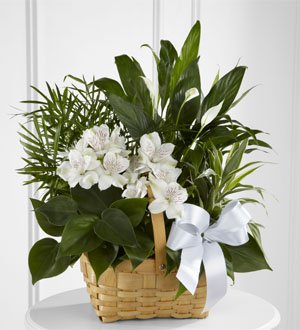 Floral Design By Linda Perron 177 Washington St, Claremont