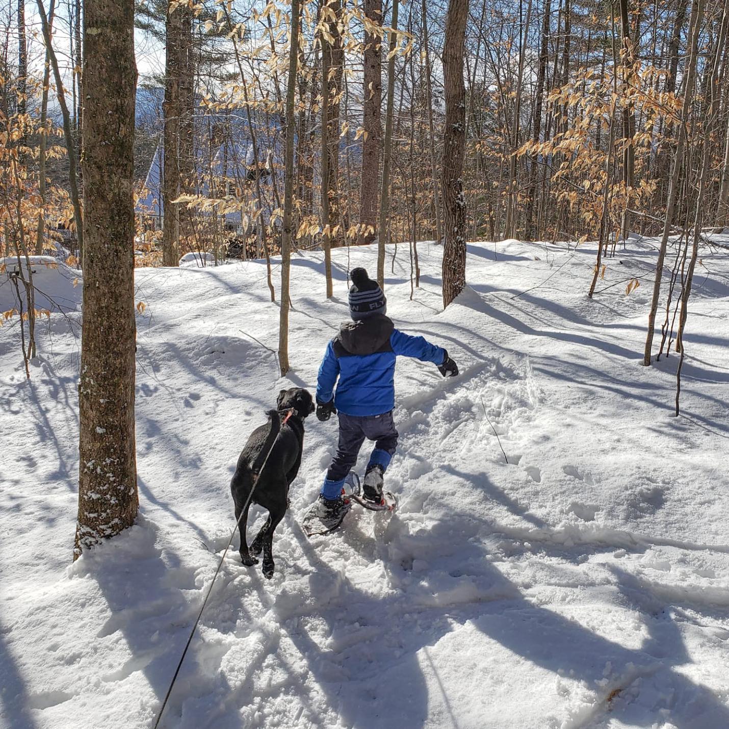 Sun & Ski Sports 2709 White Mountain Hwy, North Conway