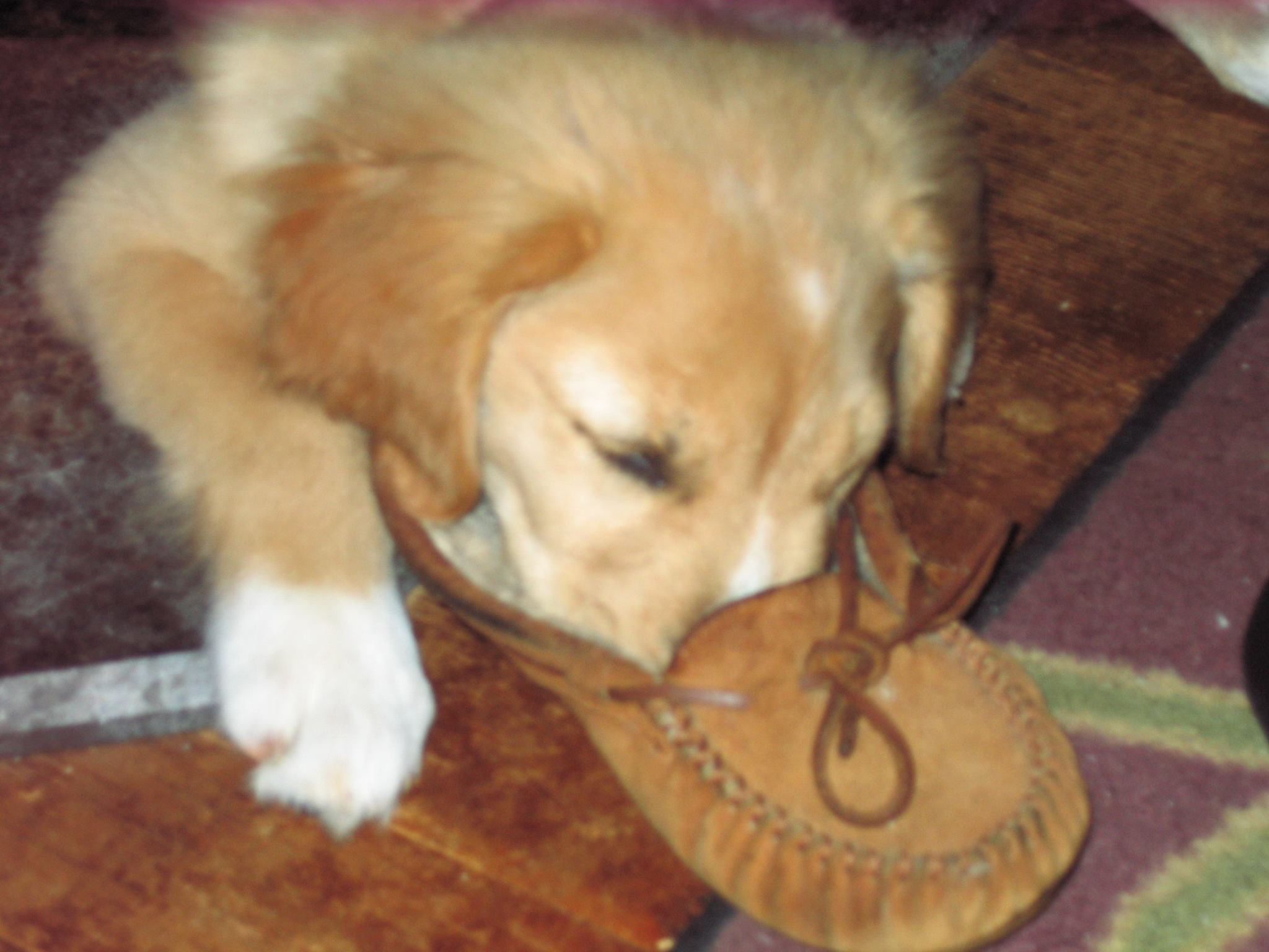 Gracie's Grain Peterborough