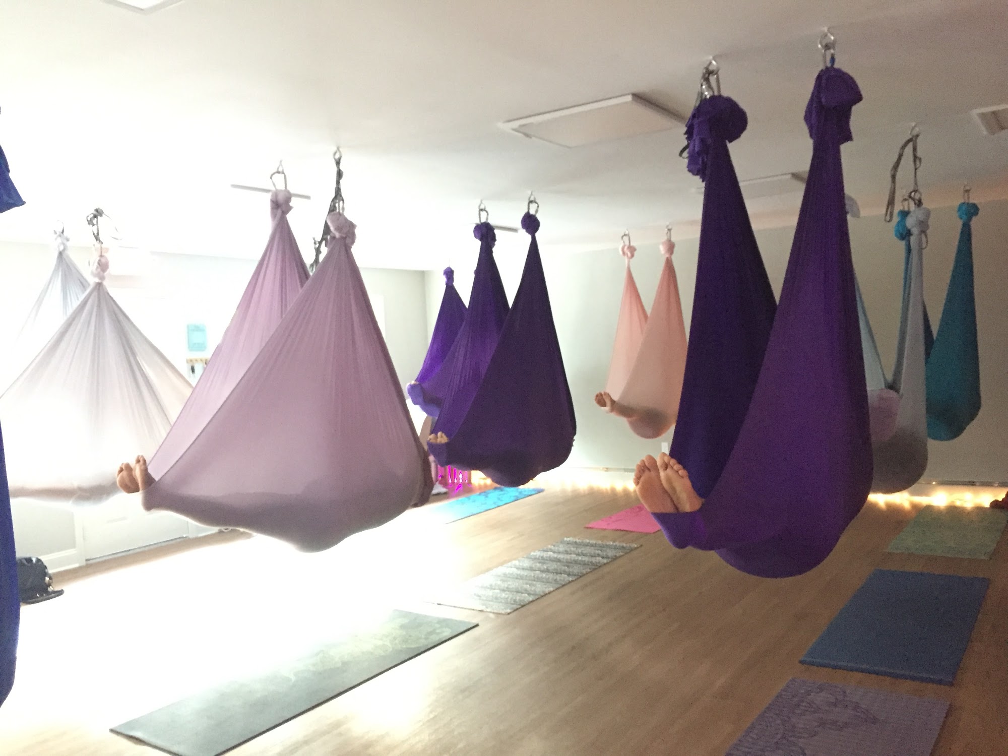 Dragonfly Aerial Yoga Studio