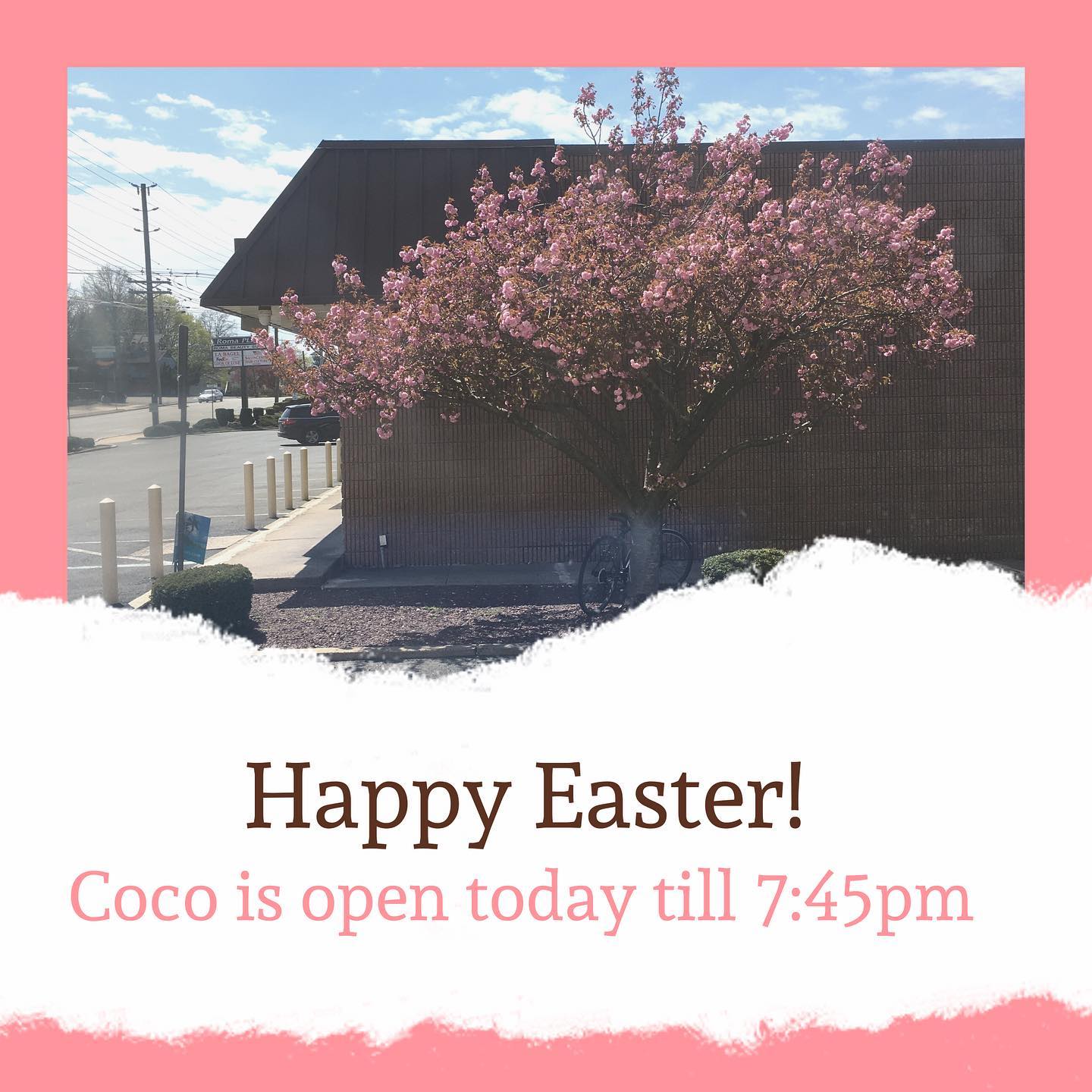 Coco Asian Cuisine Restaurant 1803 Lincoln Hwy, Edison