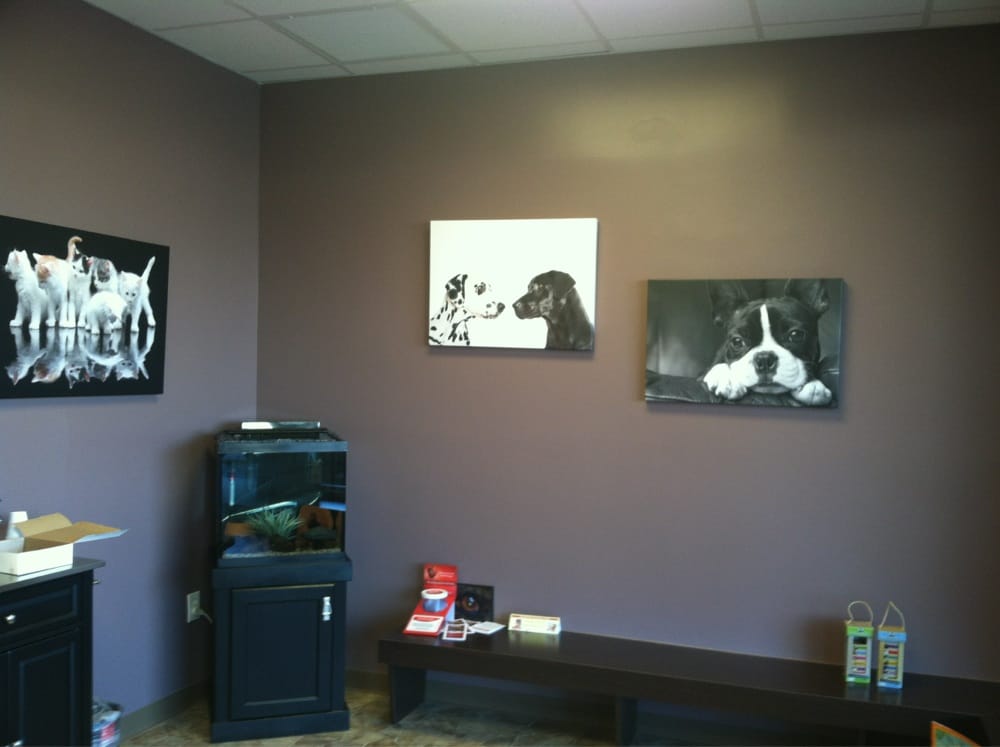 Healing Paws Veterinary Care 430 Market St, Elmwood Park