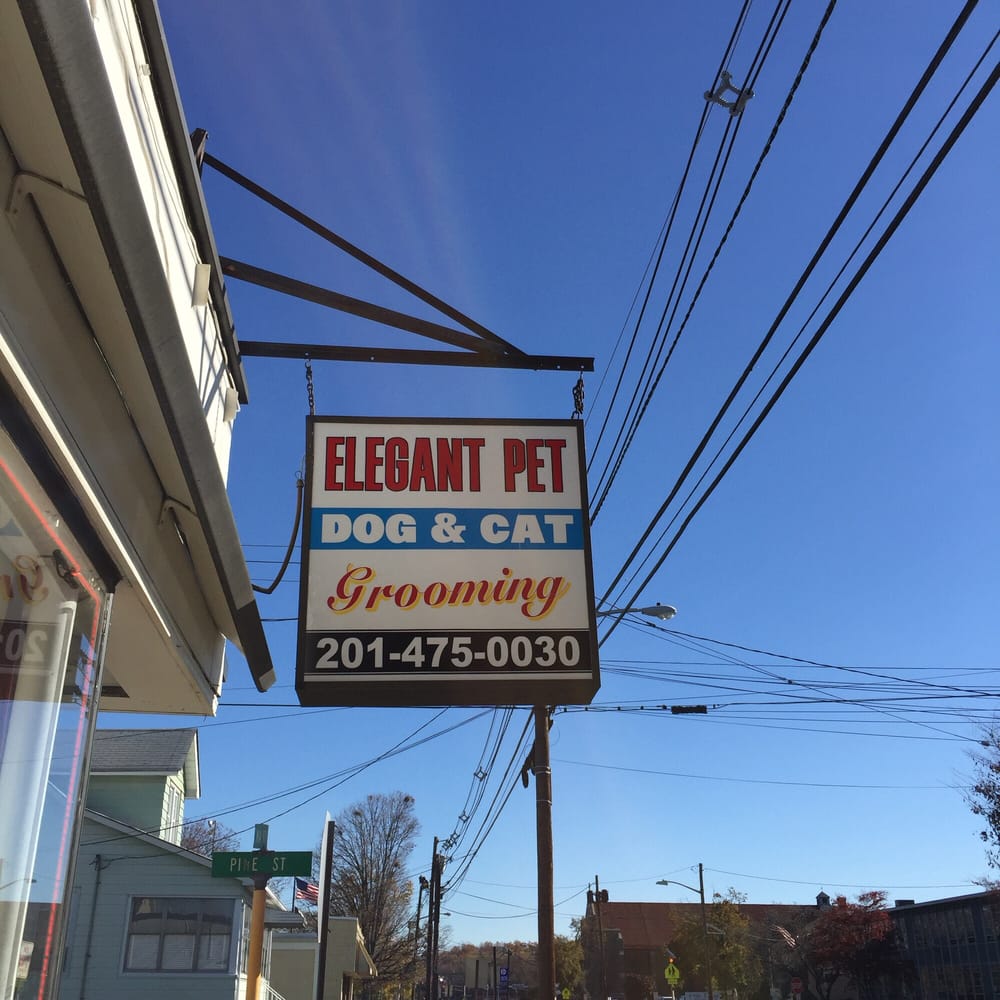 Pet Grooming Barking At the Mn 290 Market St, Elmwood Park
