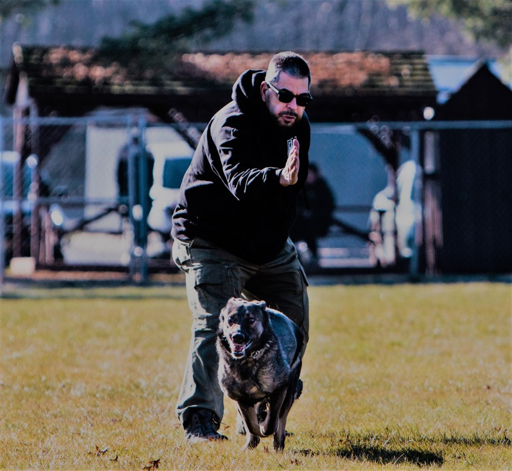 Photo credit: 