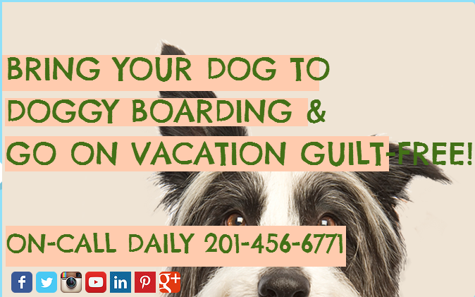 Strut Your Pup, LLC 72 68th St, Guttenberg