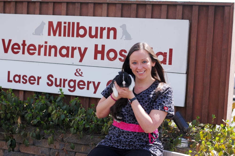 Millburn Veterinary Hospital & Laser Surgery Center 147 Millburn Ave, Millburn