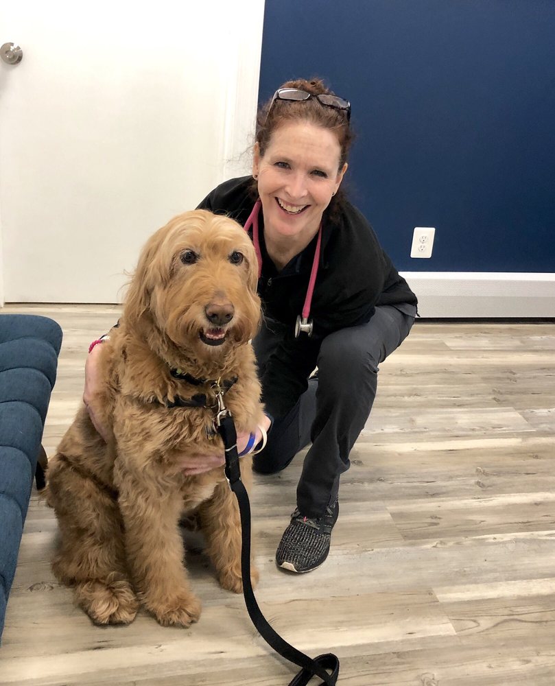 TouchStone Veterinary Center 382 Hwy 79, Morganville