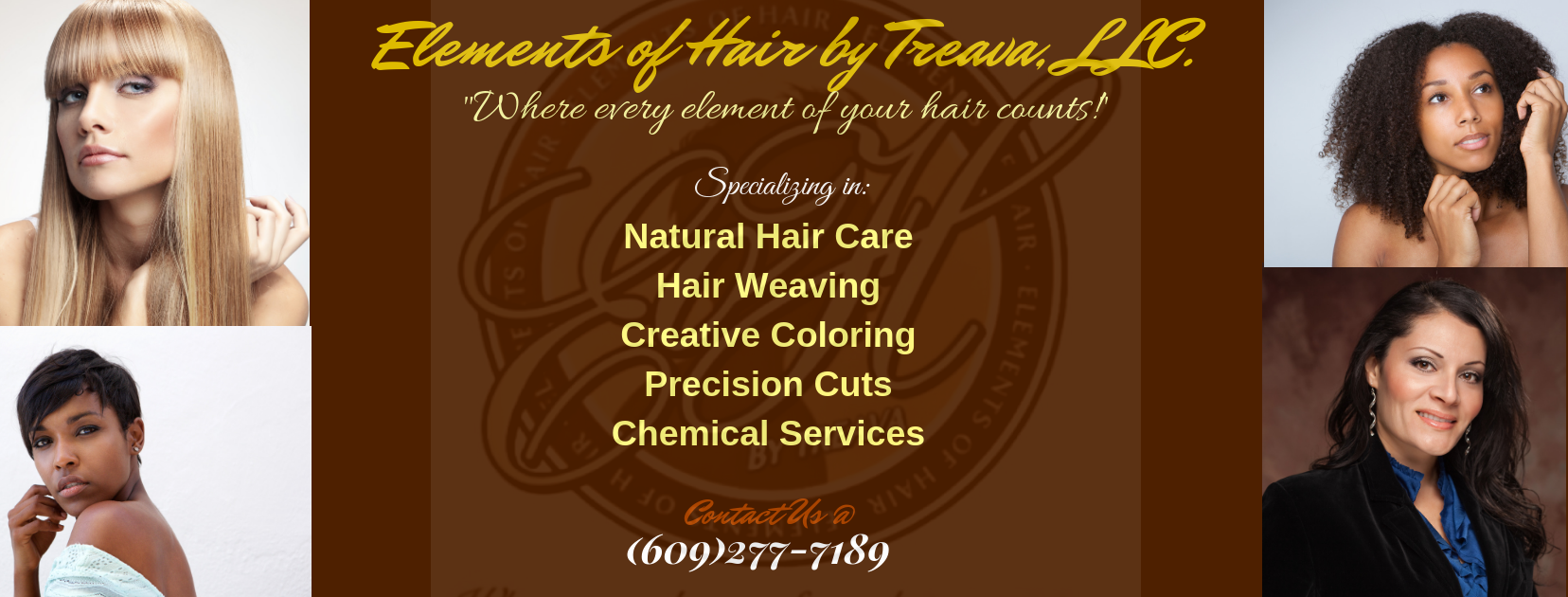 Elements of Hair by Treava, LLC.