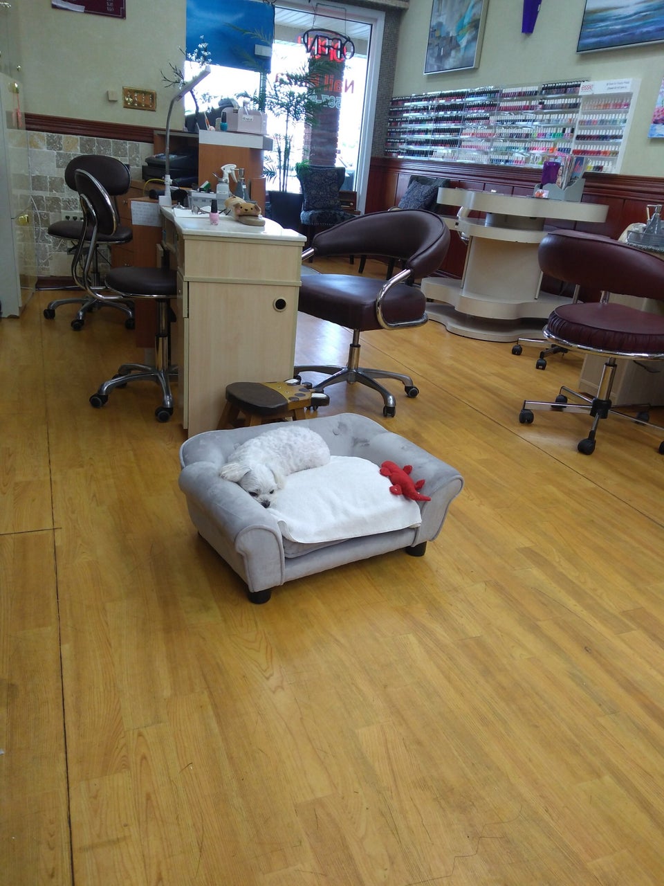 Nail Plaza 487 Market St, Saddle Brook