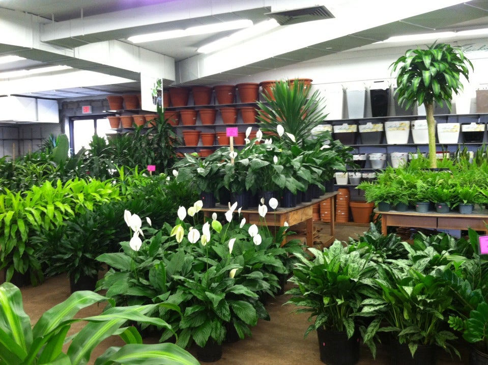 Cityside Flowers - Metropolitan Wholesale 285 N Midland Ave, Saddle Brook