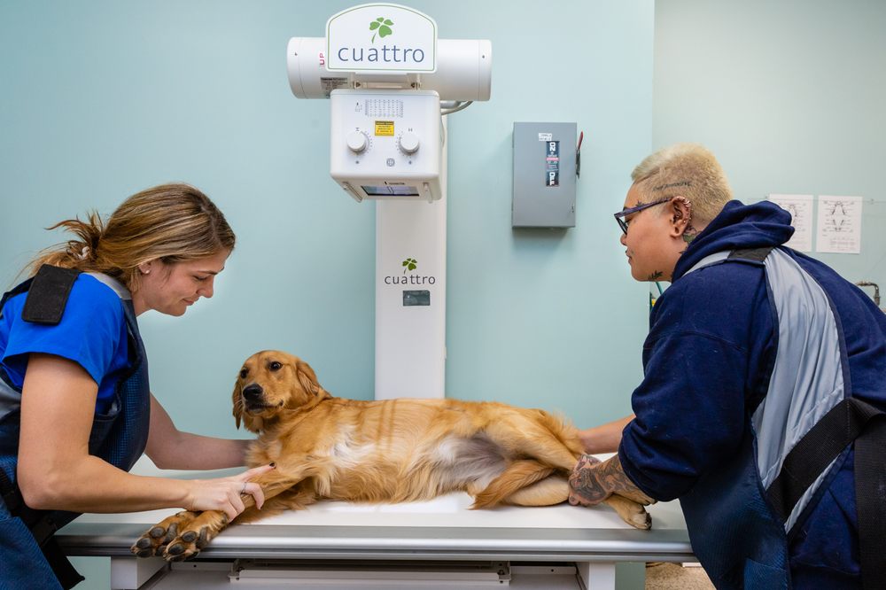Happy Tails Veterinary Hospital 827 Broad St Ste 7, Shrewsbury