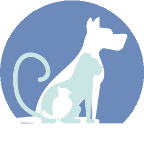 Pat's Critter Sitters Albuquerque