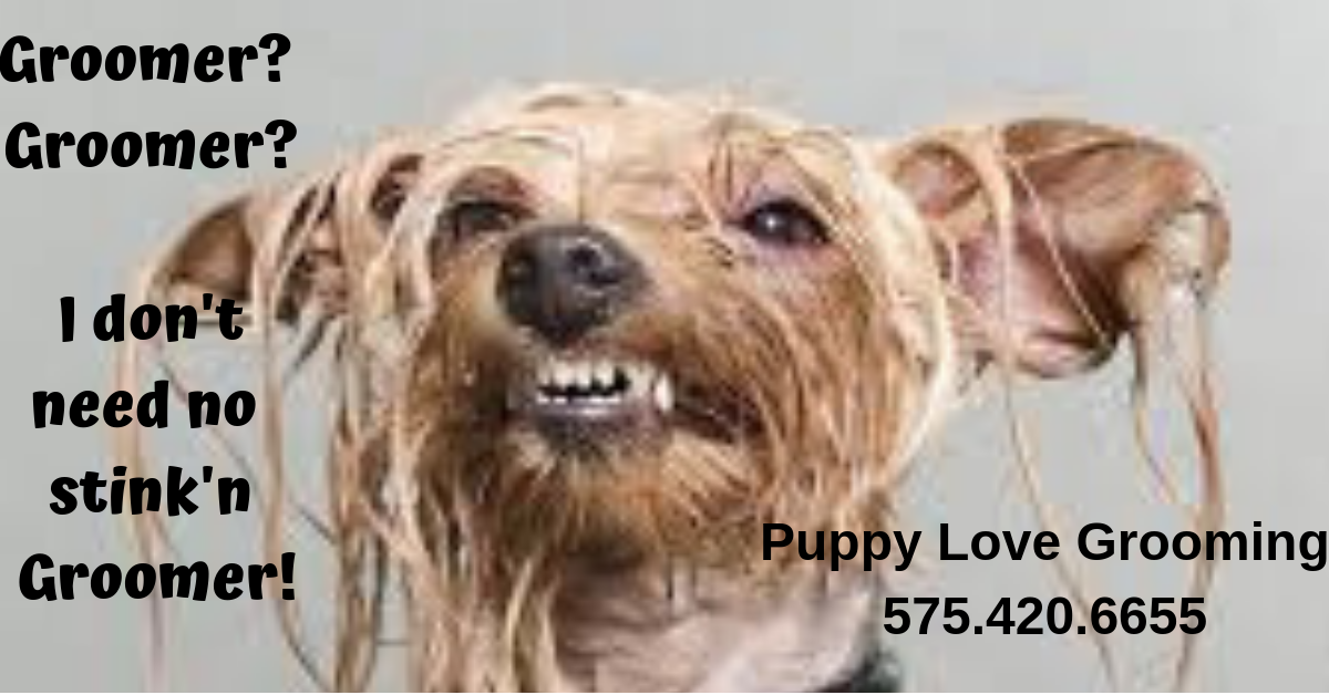 Puppy Love Grooming Roswell