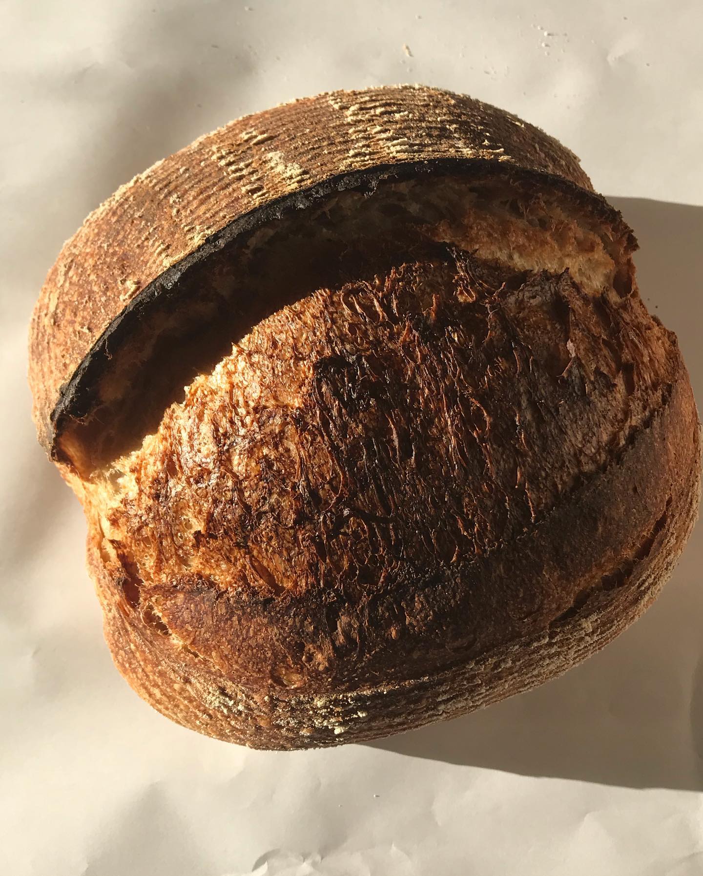 Bread Shop 1708 Lena St STE 101, Santa Fe