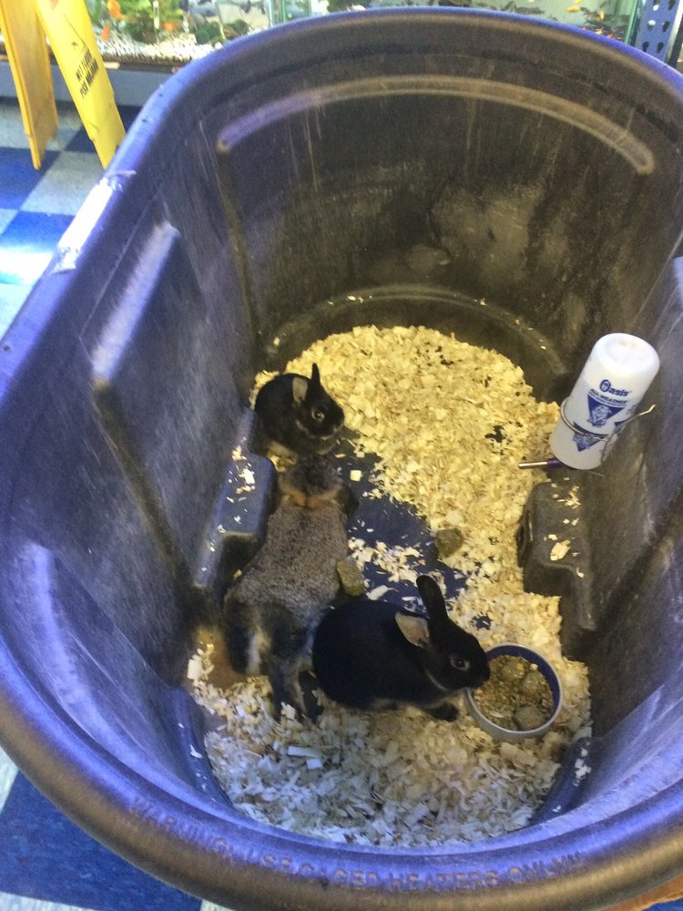 Pet Station 910 Tahoe Blvd, Incline Village
