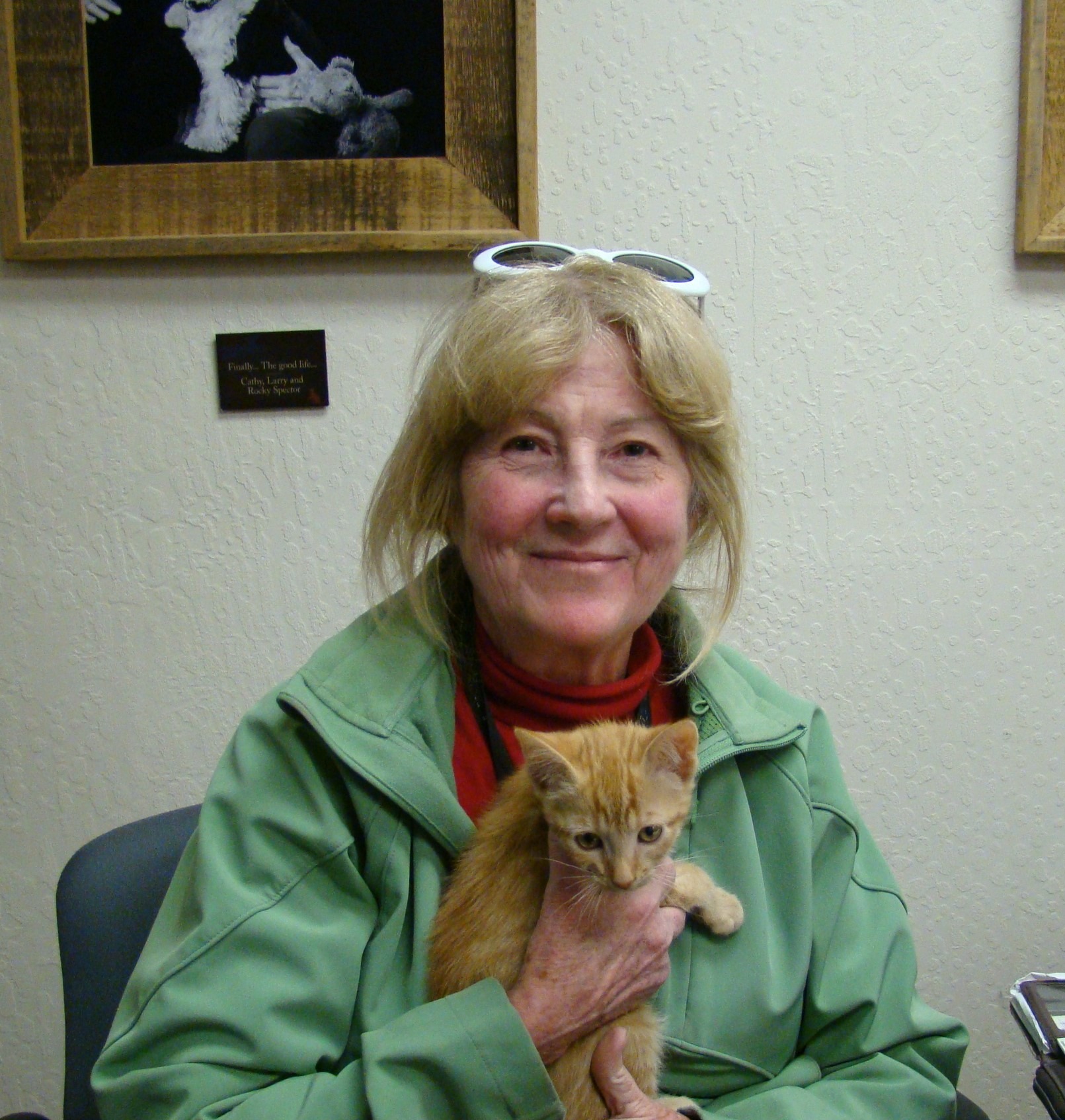 Pet Network Humane Society 401 Village Blvd, Incline Village
